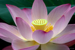 _DSC0077_adjusted
