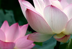 _DSC0086_adjusted