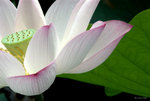 _DSC0087_adjusted