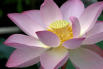_DSC0090_adjusted