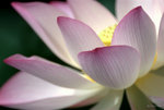 _DSC0128_adjusted