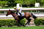 _DSC0042_adjusted