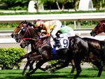 _DSC0164_adjusted