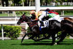 _DSC0166_adjusted