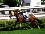 _DSC0214_adjusted