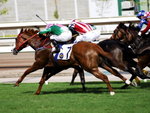 _DSC0226_adjusted