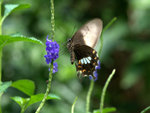 _DSC0049_adjusted