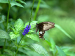 _DSC0069_adjusted