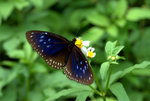 _DSC0113_adjusted