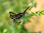_DSC0125_adjusted