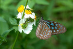 _DSC0146_adjusted