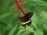 _DSC0152_adjusted