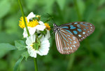 _DSC0153_adjusted
