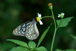 _DSC0402_adjusted