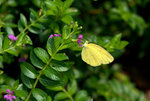_DSC0430_adjusted