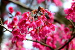 DSC_0712_adjusted