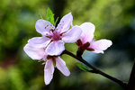 DSC_0780_adjusted