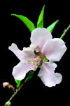 DSC_0820_adjusted