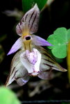 DSC_0871_adjusted