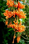 DSC_1761_adjusted