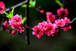 DSC_1777_adjusted