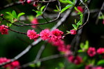 DSC_1781_adjusted