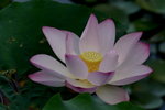 DSC_0010_adjusted