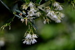 DSC_0069_adjusted