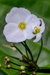 DSC_0097_adjusted