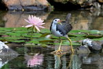 DSC_0210_adjusted