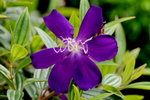 DSC_0276_adjusted