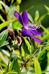 DSC_0279_adjusted
