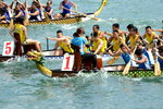 DSC_0410_adjusted