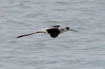 DSC_0491_adjusted