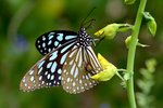 DSC_0033_PS
