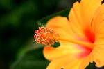 DSC_0042_PS