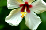 DSC_0045_PS