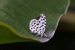DSC_0102_PS