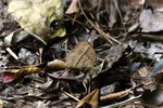 DSC_0219_PS