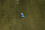 DSC_0226_PS