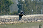 DSC_0271_PS
