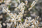 DSC_0008_PS