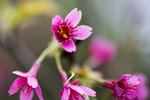 DSC_0022_PS