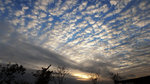 PC050123_PS