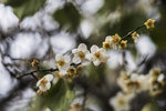 DSC_0039_ps