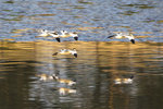 DSC_0327_ps
