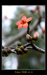 DSC_0070_ps