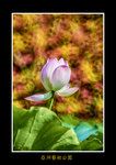 DSC_0049_F
