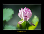 DSC_0058_F