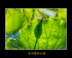 DSC_0088_F